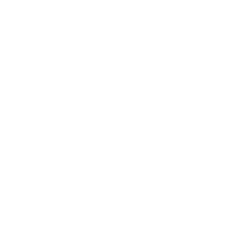 WTO Committee Logo