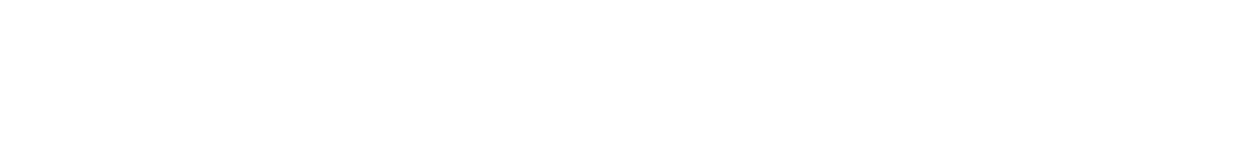 GMUN Logo